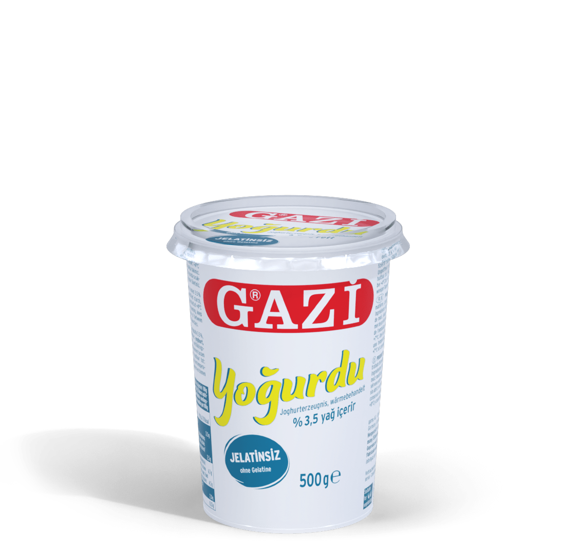 GAZi Joghurt Yogurdu 500g