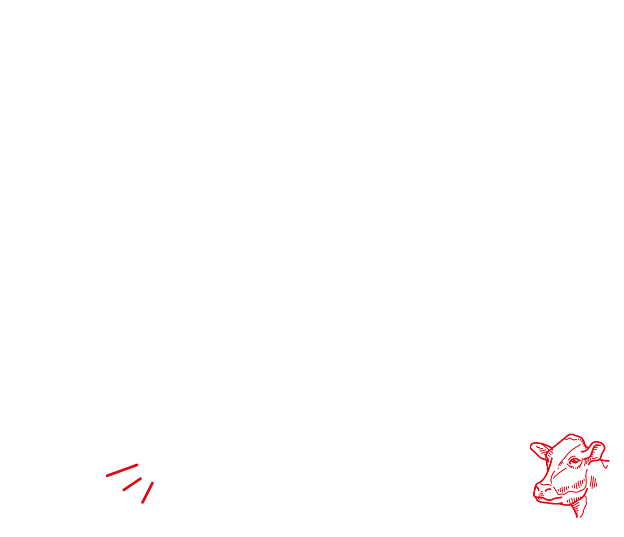 GAZi Klassik Hirtenkäse Banner Kuh